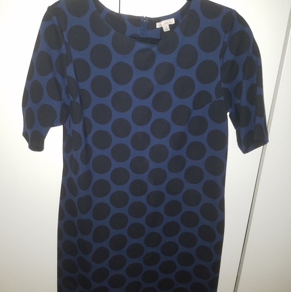 GAP Dresses & Skirts - Gap Designed & Crafted zipper back sheath